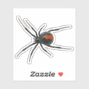 Suche nach spinne schwarzen witwe aufkleber Spinnen