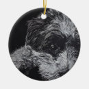 Suche nach havanese ornamente Niedlich