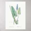 Suche nach abgenutztes poster Blumen
