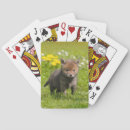 Suche nach fuchs spielkarten Für kinder