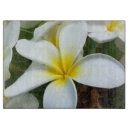 Suche nach hawaii schneidebrettchen Aloha