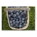 Suche nach direkt oben postkarten Frische