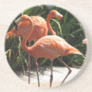 Suche nach flamingo untersetzer Tropisch
