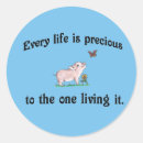 Suche nach tierrechte aufkleber Schwein