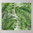 Suche nach tropisches blatt poster Baum