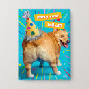 Suche nach corgi hintern accessoires Lustig