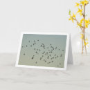 Suche nach für vogelliebhaber karten Vögel