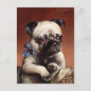 Suche nach niedlicher mops postkarten Haustiere