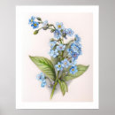 Suche nach bleistift zeichnen poster Blume