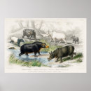 Suche nach hippopotamus poster Vintag