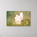 Suche nach salbei leinwandbilder Rosa