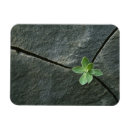 Suche nach draußen magnete Ausdauer