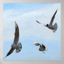 Suche nach seegras poster Natur