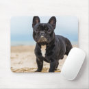 Suche nach franziskaner mousepads Welpen