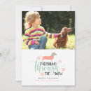 Suche nach wolf foto postkarten Weihnachten