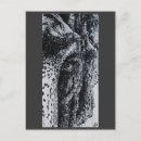 Suche nach schwarz weißer elefant postkarten Tiere