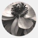 Suche nach beileid aufkleber Natur