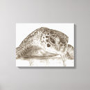 Suche nach schildkrötekunst Ozean
