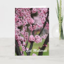 Suche nach ramadan gruß postkarten Ramadhan