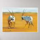 Suche nach 2010 poster Antilope