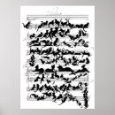 Suche nach moritz poster Schwind