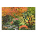 Suche nach japanischer ahorn poster Laub
