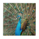 Suche nach fasan fliesen Blau