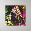 Suche nach blauer schmetterling leinwandbilder Blume