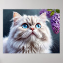 Suche nach blaue augen katze poster Haustier