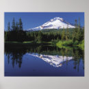 Suche nach spiegelsee Wald