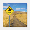 Suche nach pig magnete Schweine fliegen