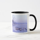Suche nach hokkaido tassen Winter