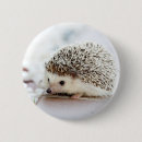 Suche nach baby igel buttons Niedlich