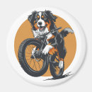 Suche nach berner magnete Aquarell