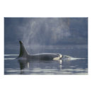 Suche nach weibliches tier poster Wild lebende tiere