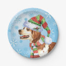 Suche nach gewichts teller Spaniel