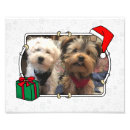 Suche nach ho ho ho poster Foto