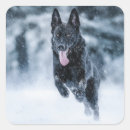 Suche nach wolf im schnee aufkleber Hund