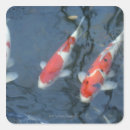 Suche nach koi teich aufkleber Im freien