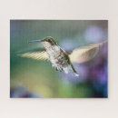 Suche nach kolibri puzzle Vogelvogel