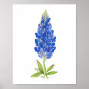 Suche nach texas bluebonnet poster Für alle
