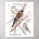 Suche nach singvogel poster Für alle