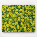 Suche nach gelbe wildblumen mousepads Quelle