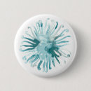 Suche nach korallen buttons Aquarell