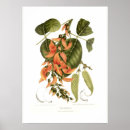 Suche nach kino poster Illustration
