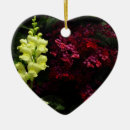 Suche nach bunte blumen ornamente Jede person