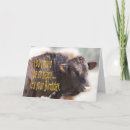 Suche nach bravo postkarten Geburtstag