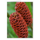 Suche nach kevin postkarten Blühend