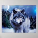 Suche nach wilder wolf poster Schnee