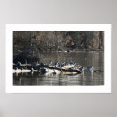 Suche nach stangen kunst Fotografie